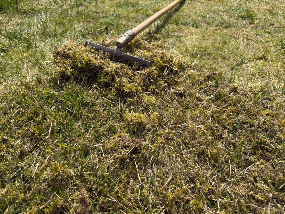 bezuz-commercial-clean-up-raking